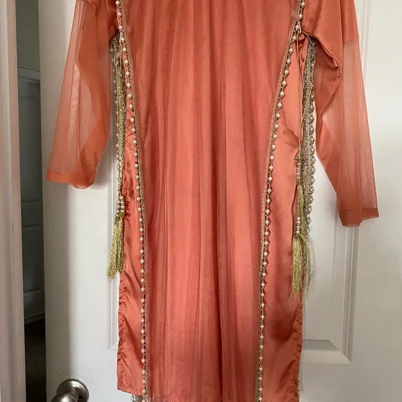 Pakistani Indian Wedding Dress - Picture 3 of 5